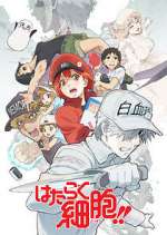 Watch Cells at Work! M4uhd