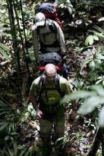 Watch Walking The Amazon M4uhd