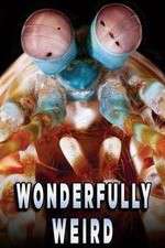 Watch Wonderfully Weird M4uhd