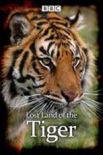 Watch Lost Land of the Tiger M4uhd