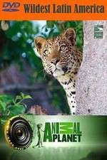 Watch Wildest Latin America M4uhd
