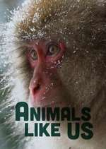 Watch Animals Like Us M4uhd
