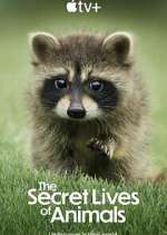 Watch The Secret Lives of Animals M4uhd