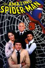 Watch The Amazing Spider-Man M4uhd