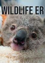 Watch Wildlife ER M4uhd