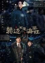 Watch Winter Begonia M4uhd