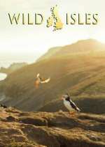 Watch Wild Isles M4uhd