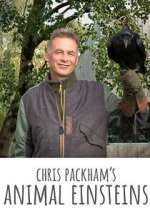 Watch Chris Packham's Animal Einsteins M4uhd