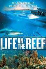 Watch Life on the Reef M4uhd