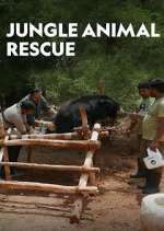 Watch Jungle Animal Rescue M4uhd