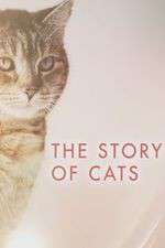 Watch The Story of Cats M4uhd