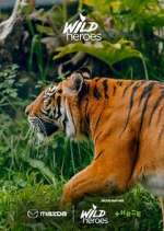 Watch Wild Heroes M4uhd