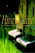 Watch Hive Alive M4uhd