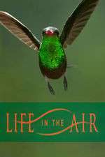 Watch Life in the Air M4uhd