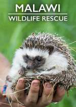 Watch Malawi Wildlife Rescue M4uhd