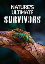 Watch Nature\'s Ultimate Survivors M4uhd