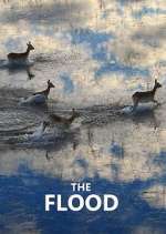 Watch The Flood M4uhd