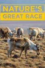 Watch Nature's Great Race M4uhd