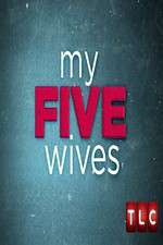 Watch My Five Wives M4uhd