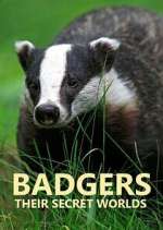 Watch Badgers: Their Secret Worlds M4uhd