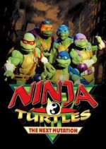 Watch Ninja Turtles: The Next Mutation M4uhd