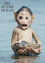 Watch Spy in the Ocean M4uhd