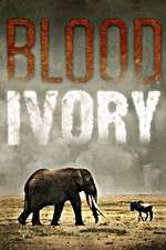 Watch Blood Ivory M4uhd