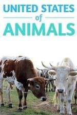 Watch United States of Animals M4uhd