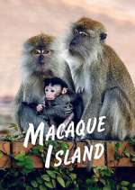 Watch Macaque Island M4uhd