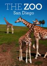 Watch The Zoo: San Diego M4uhd
