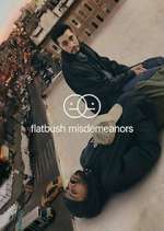 Watch Flatbush Misdemeanors M4uhd