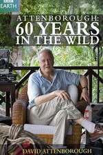Watch Attenborough 60 Years in the Wild M4uhd