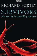 Watch Survivors: Nature's Indestructible Creatures M4uhd