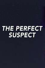 Watch The Perfect Suspect M4uhd
