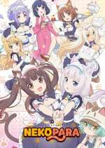Watch Nekopara M4uhd