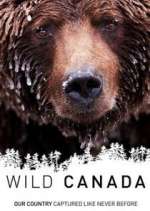 Watch Wild Canada M4uhd