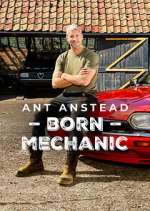 Watch Ant Anstead: Born Mechanic M4uhd