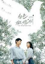 Watch The White Olive Tree M4uhd