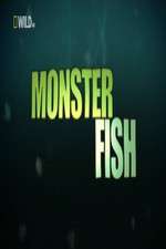 Watch National Geographic Monster Fish M4uhd