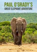 Watch Paul O'Grady's Great Elephant Adventure M4uhd