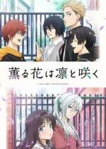 Watch Kaoru Hana wa Rin to Saku M4uhd