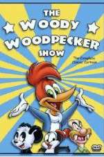 Watch The Woody Woodpecker Show M4uhd