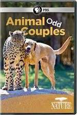 Watch Animal Odd Couples M4uhd