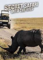 Watch Secret Safari: Into the Wild M4uhd