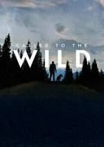 Watch Called to the Wild M4uhd