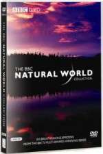 Watch The Natural World M4uhd