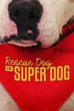 Watch Rescue Dog to Super Dog (US) M4uhd