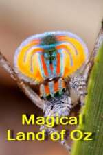 Watch Magical Land of Oz M4uhd