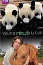 Watch Natures Miracle Babies M4uhd