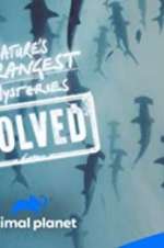 Watch Nature\'s Strangest Mysteries: Solved M4uhd